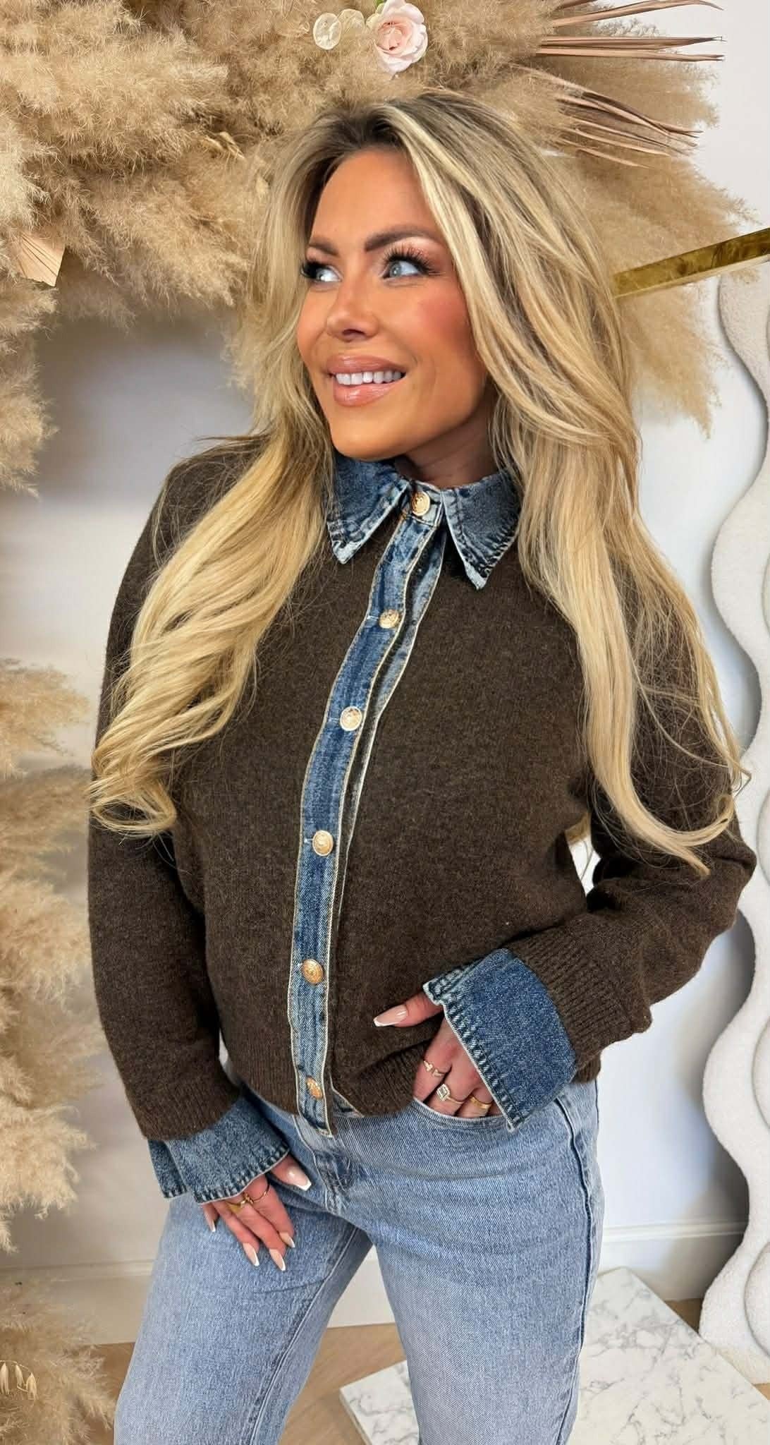 BELLE GILET COL 1169 CHOCO