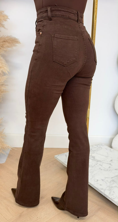 IVY FLAIRED JEANS 1363 CHOCO